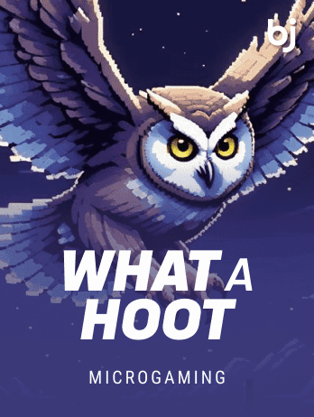 হোয়াট এ হুট